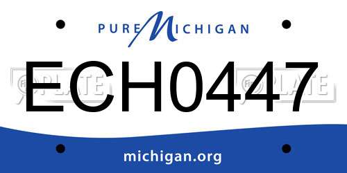 ECH0447 Michigan License Plate