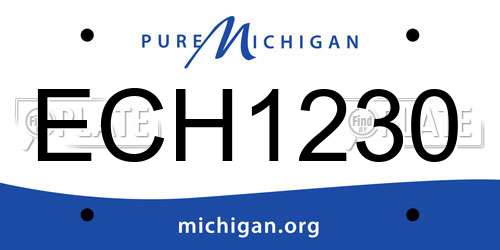 ECH1230 Michigan License Plate