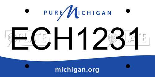 ECH1231 Michigan License Plate