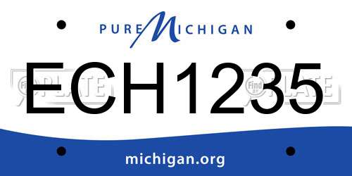 ECH1235 Michigan License Plate