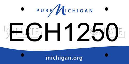 ECH1250 Michigan License Plate