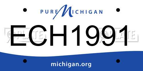 ECH1991 Michigan License Plate