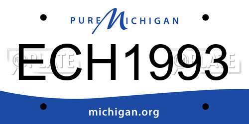 ECH1993 Michigan License Plate