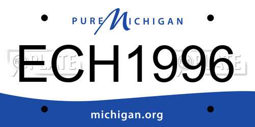 ECH1996 Michigan License Plate