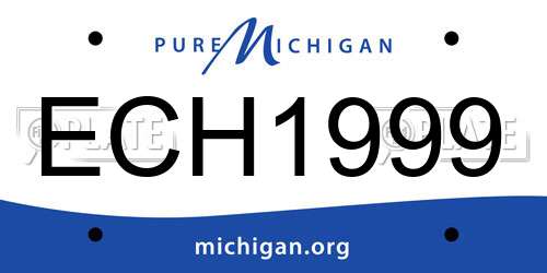 ECH1999 Michigan License Plate