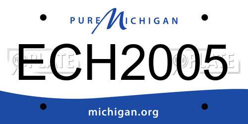ECH2005 Michigan License Plate