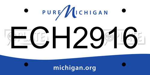 ECH2916 Michigan License Plate