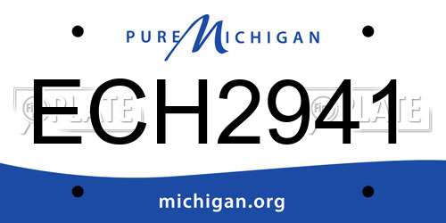 ECH2941 Michigan License Plate