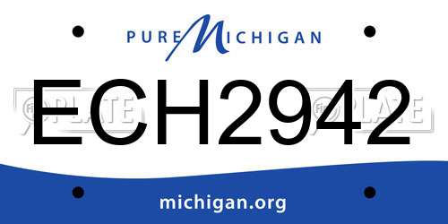 ECH2942 Michigan License Plate