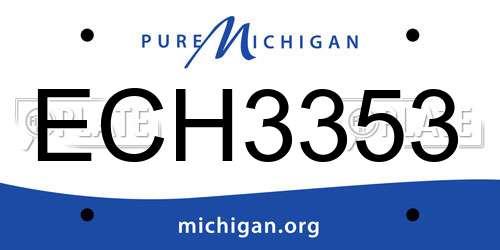 ECH3353 Michigan License Plate