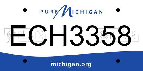 ECH3358 Michigan License Plate
