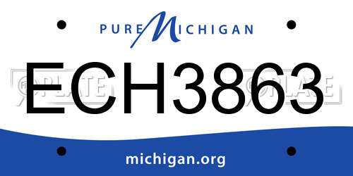 ECH3863 Michigan License Plate