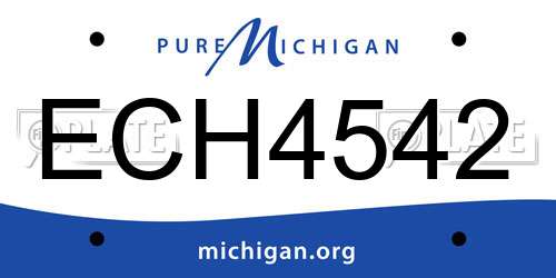 ECH4542 Michigan License Plate