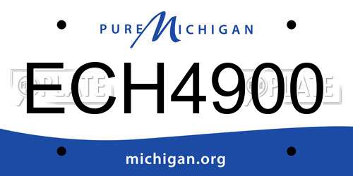 ECH4900 Michigan License Plate