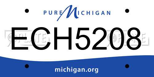 ECH5208 Michigan License Plate