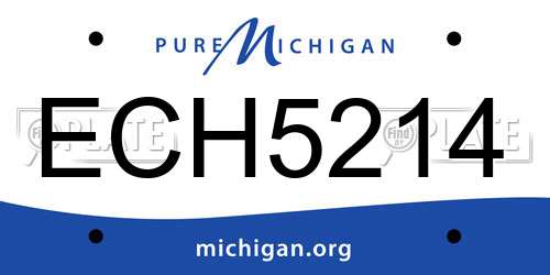 ECH5214 Michigan License Plate