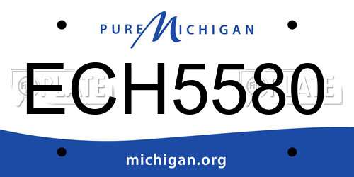 ECH5580 Michigan License Plate