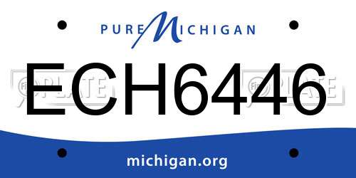 ECH6446 Michigan License Plate