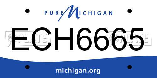 ECH6665 Michigan License Plate