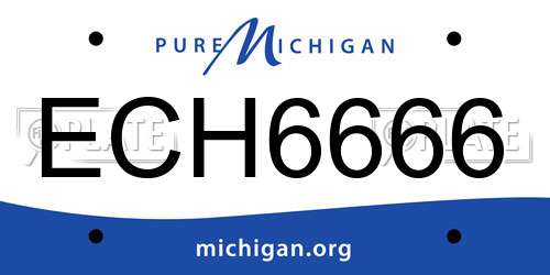 ECH6666 Michigan License Plate