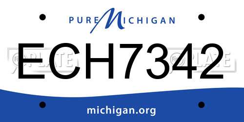ECH7342 Michigan License Plate