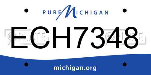 ECH7348 Michigan License Plate