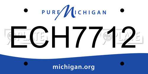 ECH7712 Michigan License Plate