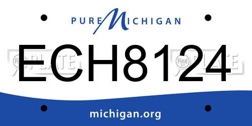 ECH8124 Michigan License Plate