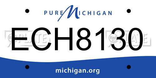 ECH8130 Michigan License Plate