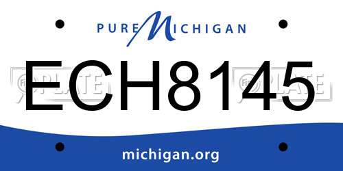 ECH8145 Michigan License Plate