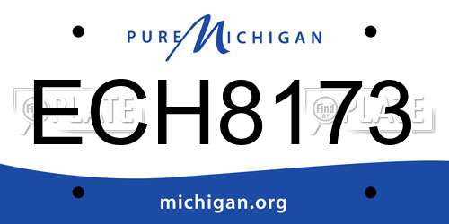 ECH8173 Michigan License Plate