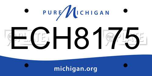 ECH8175 Michigan License Plate
