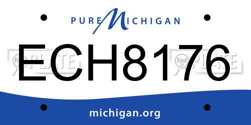 ECH8176 Michigan License Plate