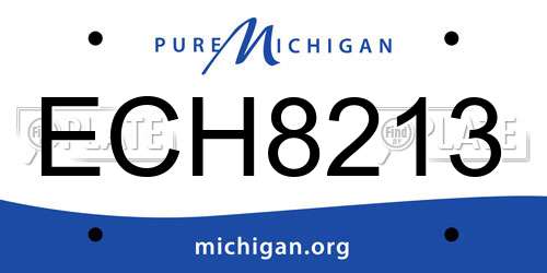 ECH8213 Michigan License Plate