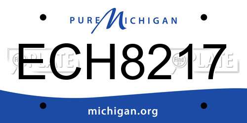 ECH8217 Michigan License Plate