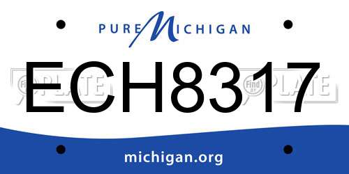 ECH8317 Michigan License Plate