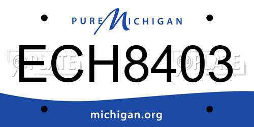 ECH8403 Michigan License Plate