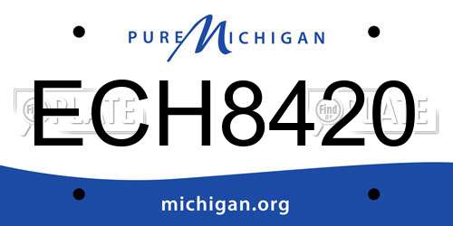 ECH8420 Michigan License Plate