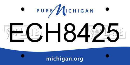 ECH8425 Michigan License Plate