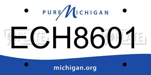 ECH8601 Michigan License Plate