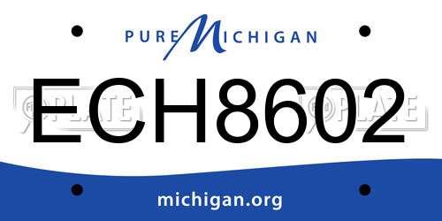 ECH8602 Michigan License Plate