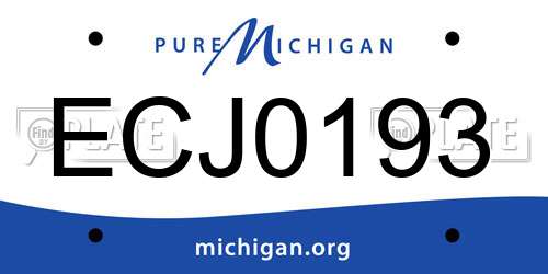ECJ0193 Michigan License Plate