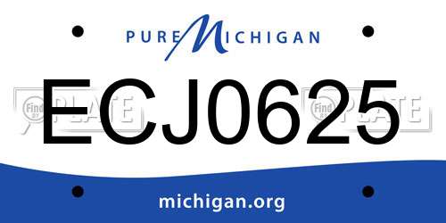 ECJ0625 Michigan License Plate