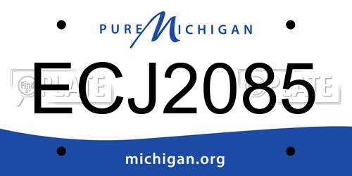 ECJ2085 Michigan License Plate