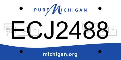 ECJ2488 Michigan License Plate