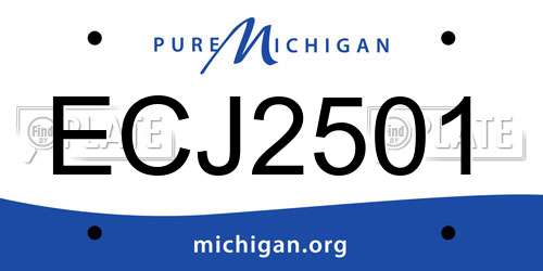 ECJ2501 Michigan License Plate