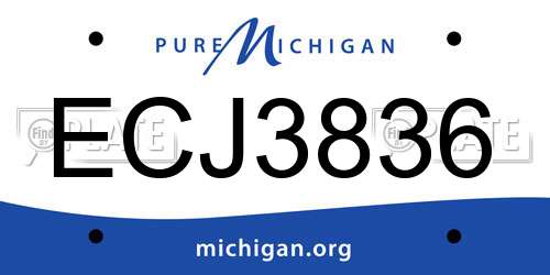 ECJ3836 Michigan License Plate