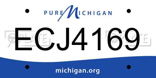 ECJ4169 Michigan License Plate