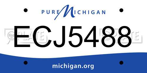 ECJ5488 Michigan License Plate