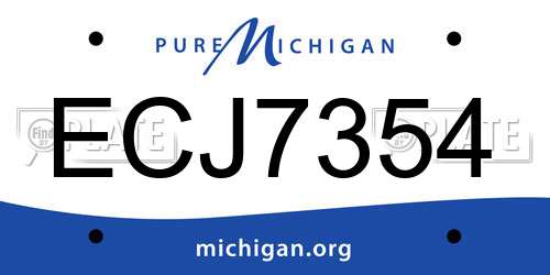 ECJ7354 Michigan License Plate